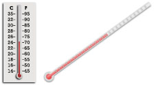 Professional Terrarium Thermometers