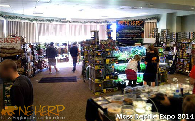 NEHERP Reptile Expo 2014