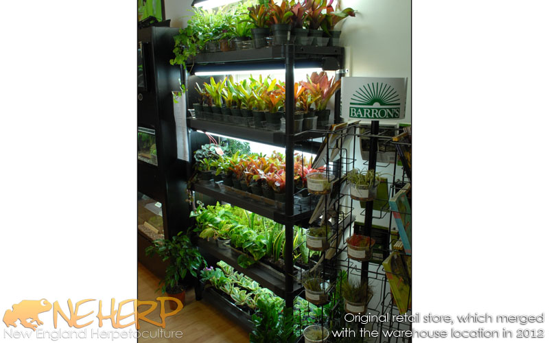 NEHERP Store Plants