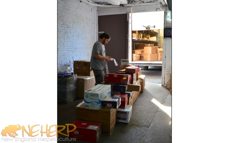 NEHERP Outgoing Packages At Dock