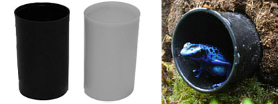 Film Canisters For Amphibian Hides And Tadpoles