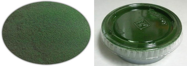 Spirulina Algae For Tadpoles And Terrariums