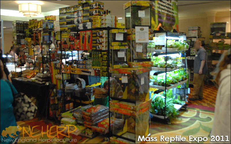 NEHERP Reptile Expo 2011