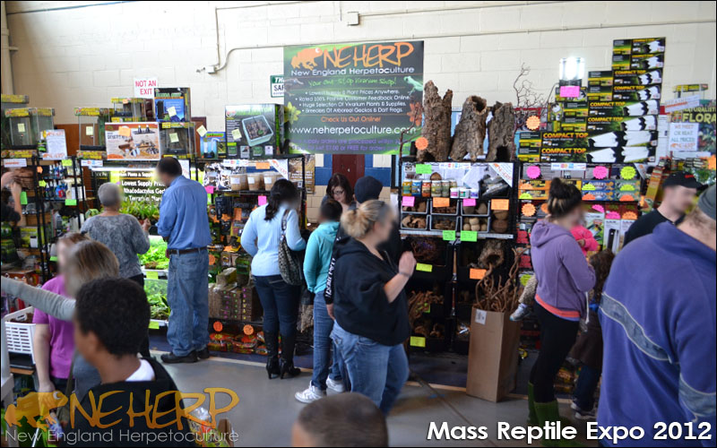 NEHERP Reptile Expo 2012