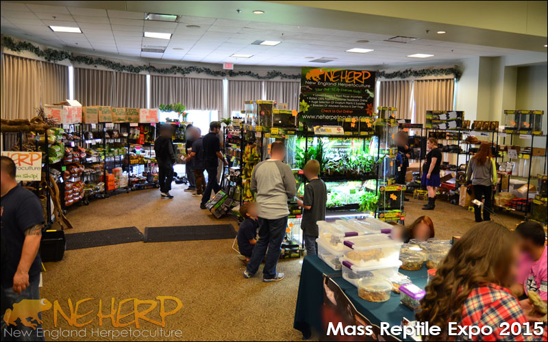 NEHERP Reptile Expo 2015