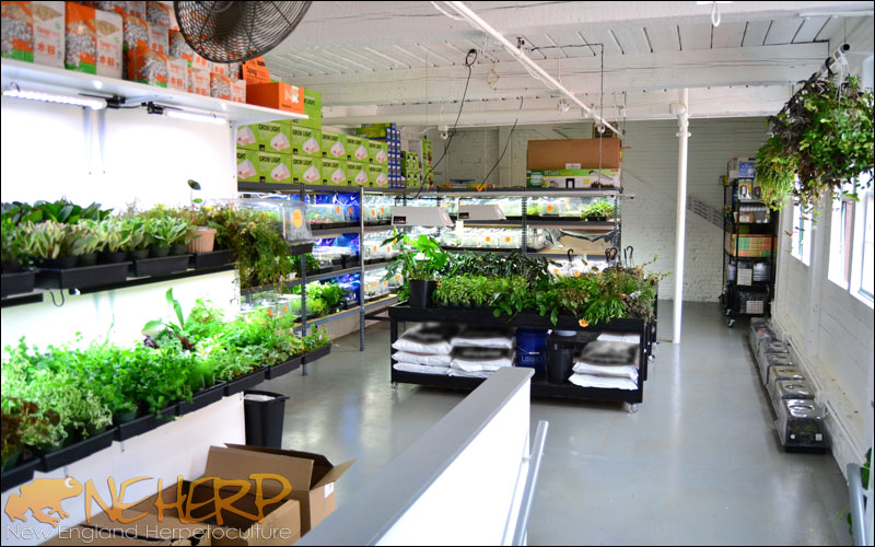 NEHERP Vivarium Plant Greenhouse