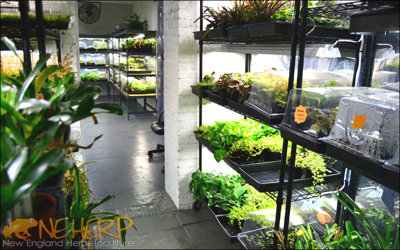 NEHERP Grow Room