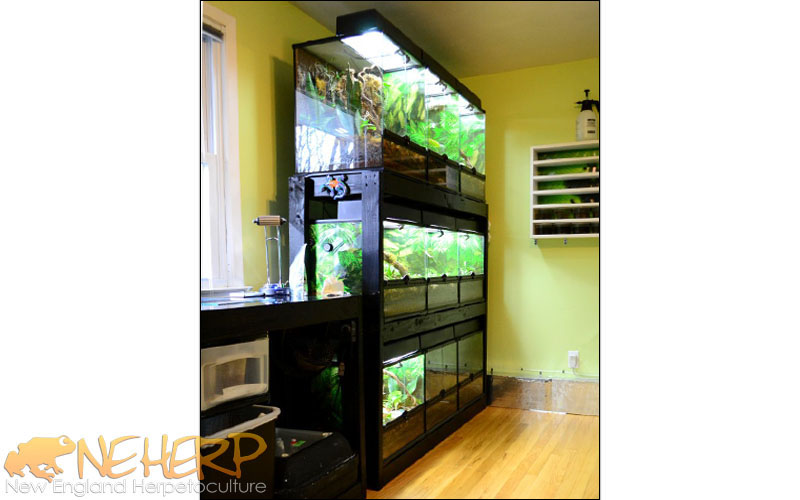 Gecko Vivarium Rack