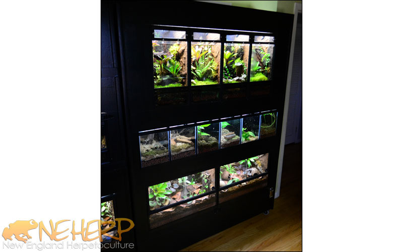 Vivarium Rack