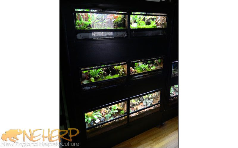 Vivarium Rack