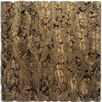 Cork Tile Background For Bioactive Terrariums