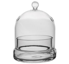 Glass Terrarium Cloche Small