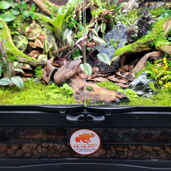 NEHERP Sticker For Terrariums