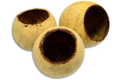 Bell Cup Botanical Pod For Bioactive Vivariums and Terrariums