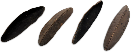 Triangle Pods Botanical Pod For Bioactive Vivariums and Terrariums