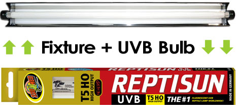 T5HO Fixture + UVB Bulb Combo