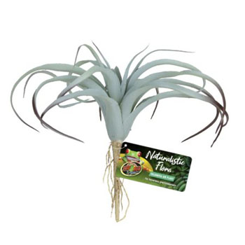 Zoo Med Naturalistic Flora Tillandsia Air Plant