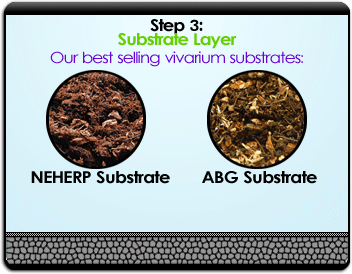 Step 3 - Vivarium Substrate Layer