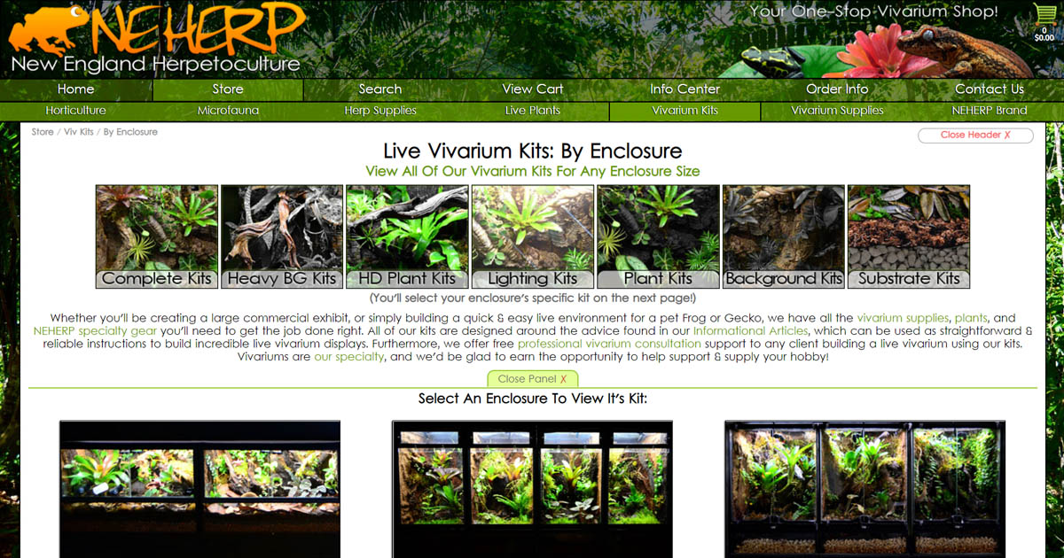 Bioactive Terrarium and Vivarium Kits For Every Popular Enclosure Size