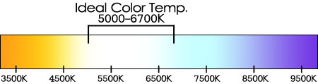 Kelvin Infographic
