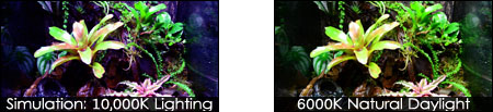 Kelvin Simulated Example