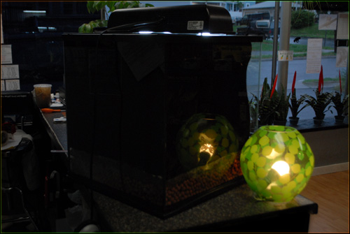 Initial silicone layer