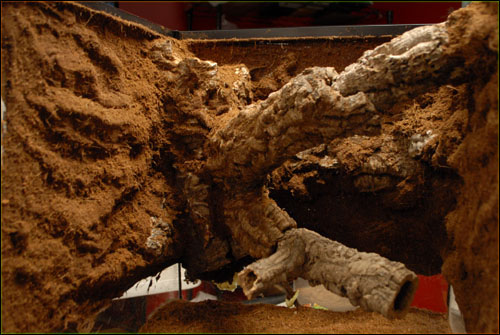 Silicone & Texturing