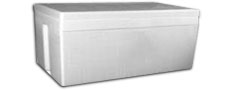Styrofoam Case