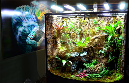 NEHERP's Vivarium In Museum Of Natural History