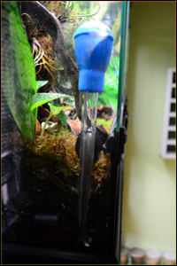 Example of vivarium waste water drainage removal