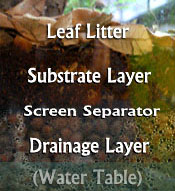 Bioactive Substrate Layers