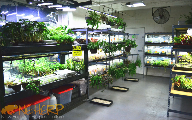 NEHERP Greenhouse