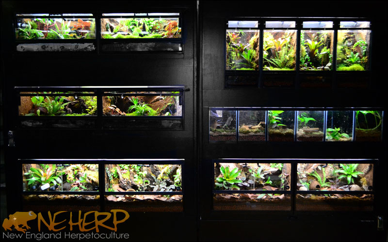 Vivarium Rack