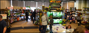 Reptile Expos