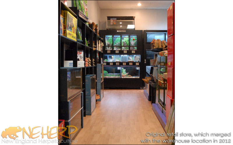NEHERP Store Live Animals