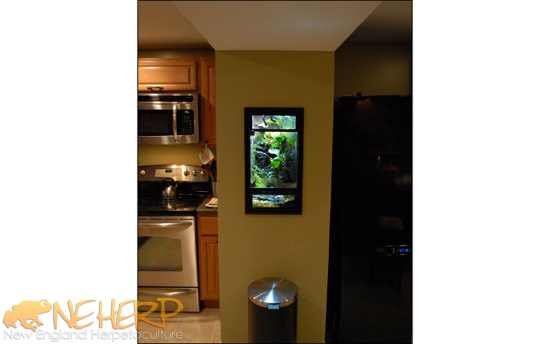 Custom Vivarium Installation