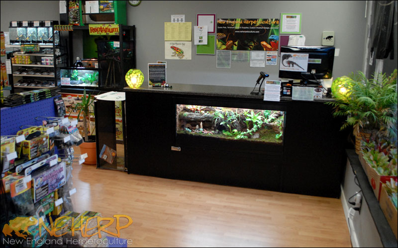 Custom Vivarium Built Into Desk