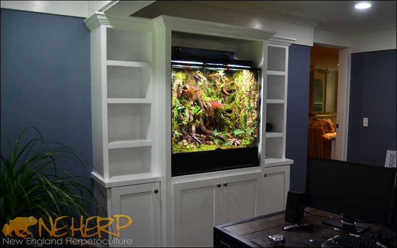 Professional Custom Vivarium Design
