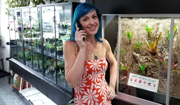 NEHERP Walk In Terrarium Specialty Store