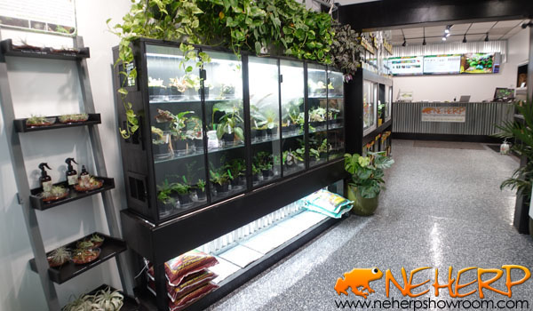 NEHERP Walk In Terrarium Specialty Store