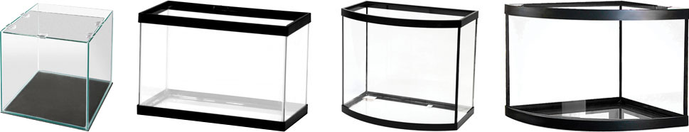 Special Order Aquariums For Bioactive Vivariums
