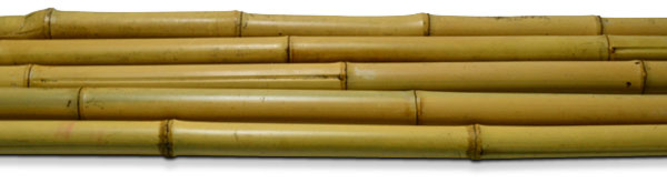 Bamboo Poles