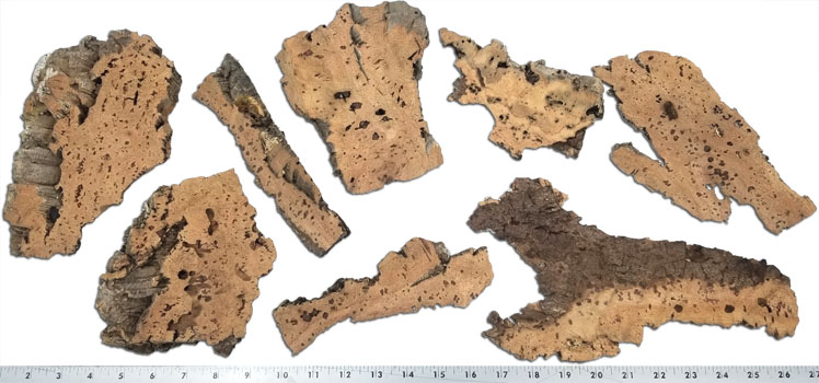 Cork Rinds For Isopods and Springtails