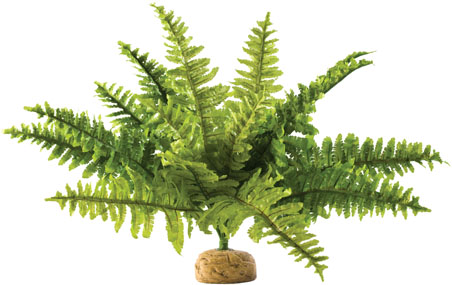Exo Terra Ground Plant Medium Fern
