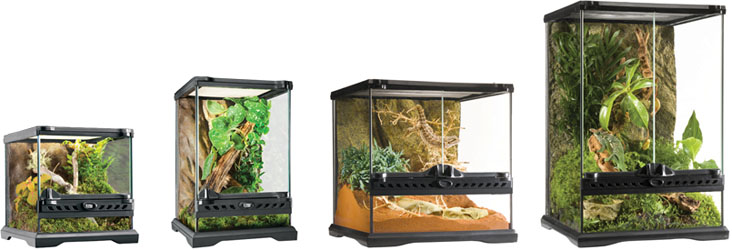 Exo Terra Terrariums For Shipping