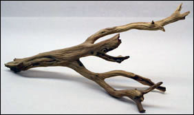 Ghostwood For Vivariums