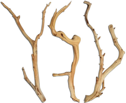 Manzanita Ghostwood For Vivariums