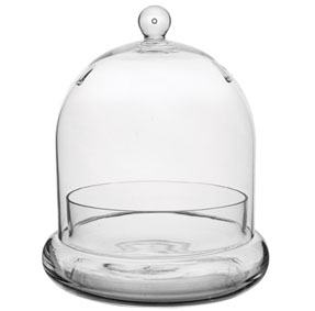 Glass Terrarium Cloche Medium
