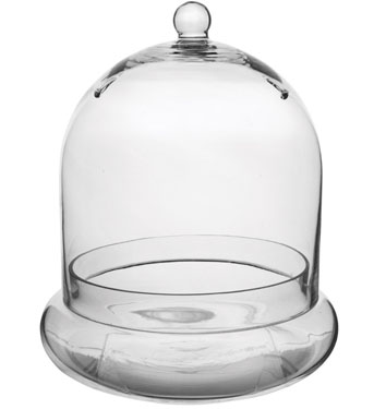 Glass Terrarium Cloche Large