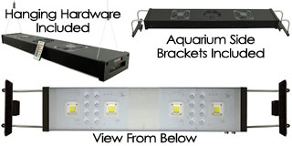 Jungle Hobbies Advanced LED - Double